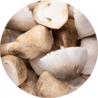 Champignons